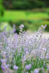 Similar image 13009866