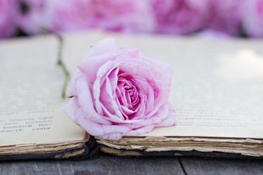 Similar image 13009582