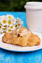 Similar image 13010072