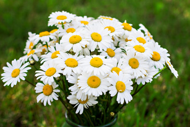 Similar image 13010183