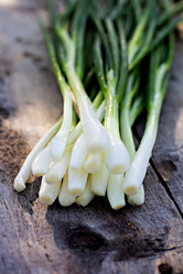 Similar image 13010184