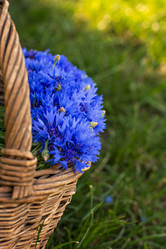 Similar image 13010185