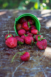 Similar image 13010341