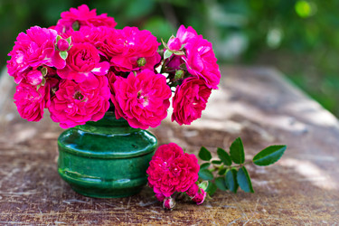 Similar image 13010342