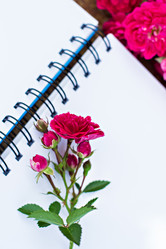 Similar image 13010345