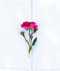 Similar image 13010362