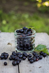 Similar image 13010363