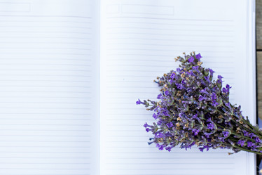 Similar image 13010406