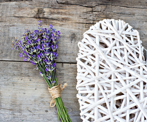 Similar image 13010105