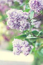 Similar image 13010106