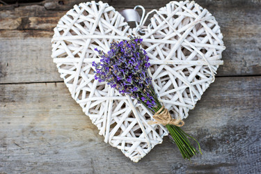 Similar image 13010206