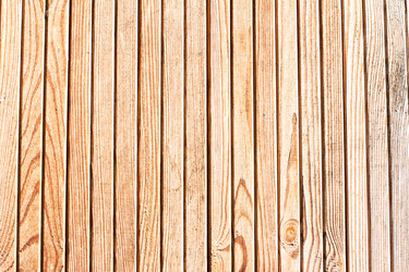 Similar image 13030502