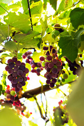 Similar image 13030539