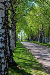 Similar image 13009304