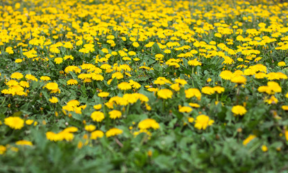 Similar image 13009425