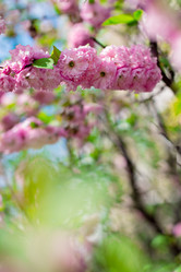 Similar image 13009867