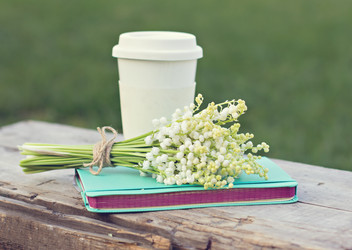 Similar image 13009549