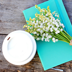 Similar image 13009566