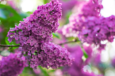 Similar image 13010250