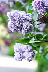 Similar image 13010289