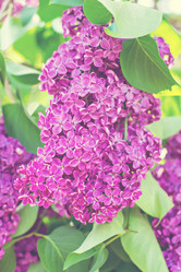 Similar image 13010307