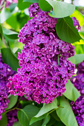 Similar image 13010350