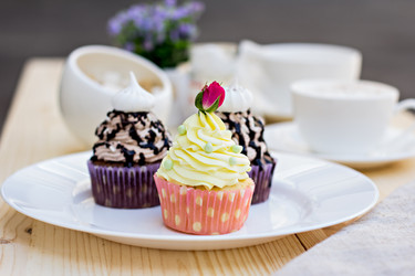 Similar image 13010353