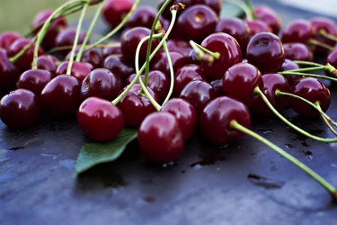 Similar image 13009873