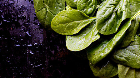 Similar image 13009554