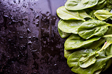 Similar image 13009572