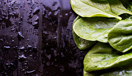 Similar image 13009592