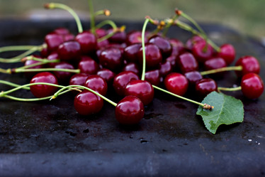 Similar image 13009593