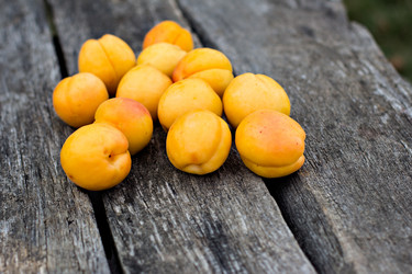 Similar image 13009612