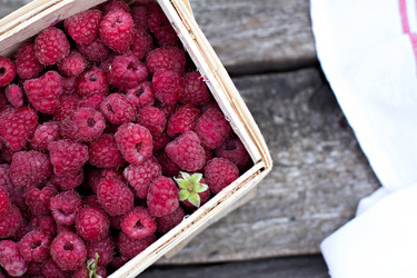 Similar image 13009891