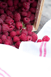 Similar image 13009893