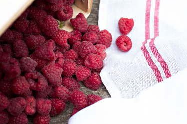 Similar image 13009894