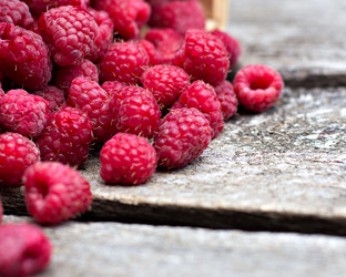 Similar image 13009933