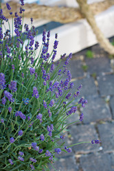 Similar image 13009953