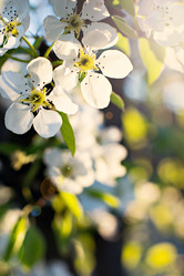 Similar image 13008400