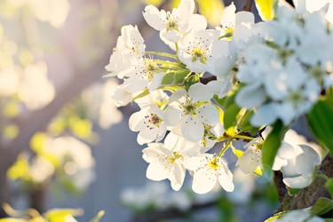 Similar image 13008421