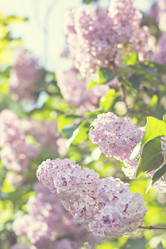 Similar image 13007902