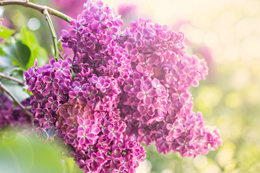 Similar image 13007904