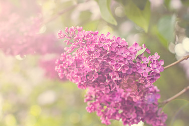 Similar image 13007924