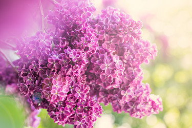 Similar image 13007925