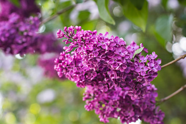 Similar image 13007942