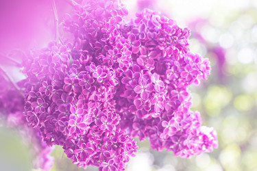 Similar image 13007943