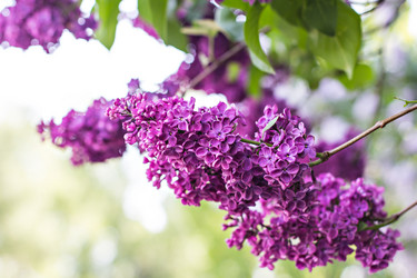 Similar image 13008879