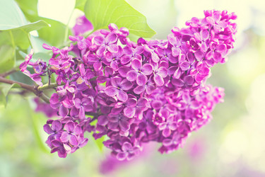 Similar image 13008880