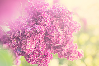 Similar image 13008909