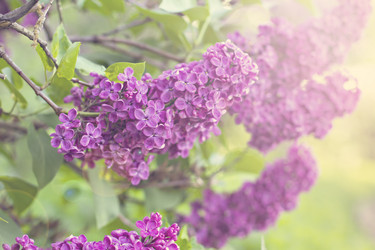 Similar image 13008402